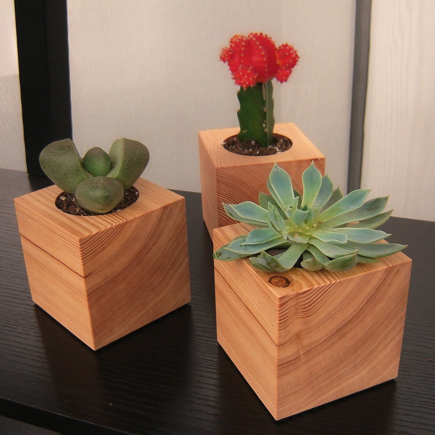 Three Succulent Garden Planters in Reclaimed Wood