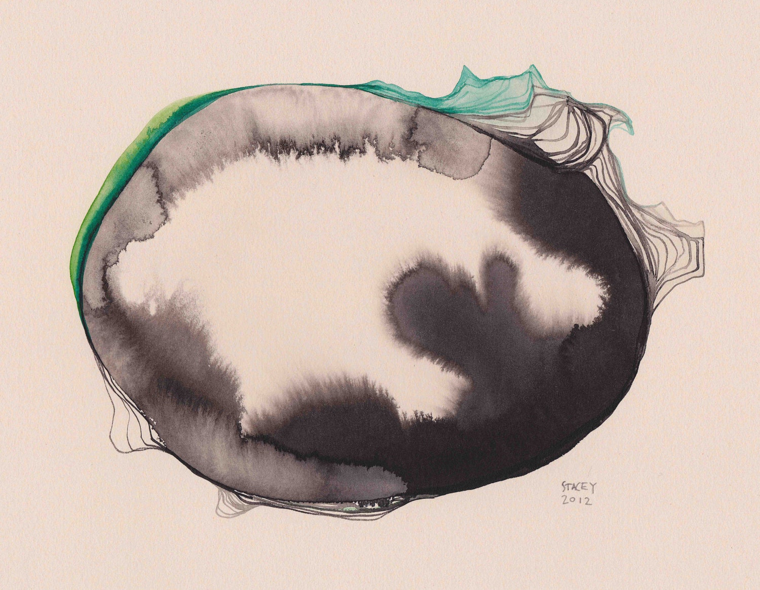 Original 'Opal 2' illustration