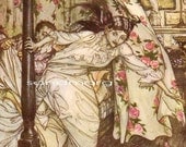 Vintage Arthur Rackham Venus and the Cat The Travellers and the Plane Tree Print