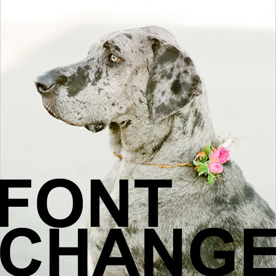 Font Change for Blogger Pre-Made Template