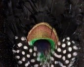 Black, Black fascinator, peacock, peacock feather, rhinestone, hair, hair clip, hair fascinator, pin up, bridal, wedding