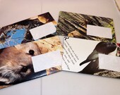 ABC's of Nature Biology Upcycled Children's Book Envelopes