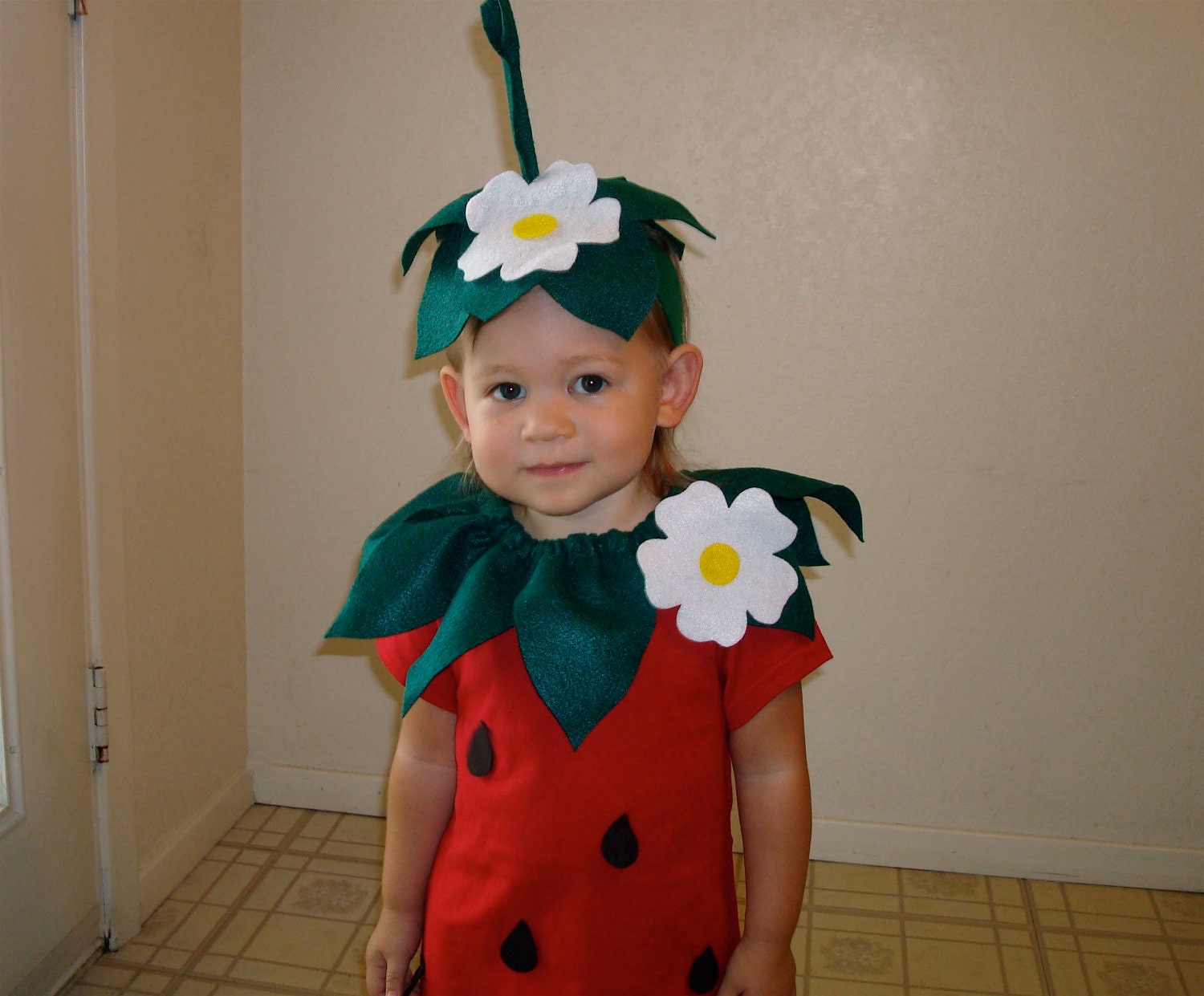 DIY Strawberry  Do It Yourself Kids Costume  Halloween Costume  Strawberry Costume