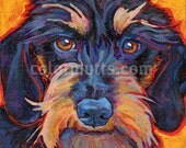 Wire Haired DACHSHUND Dog Art Original Portrait Painting 6x6 by Lynn Culp