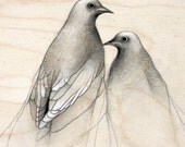 Dove Drawing Pencil Art Sketch Reproduction Print