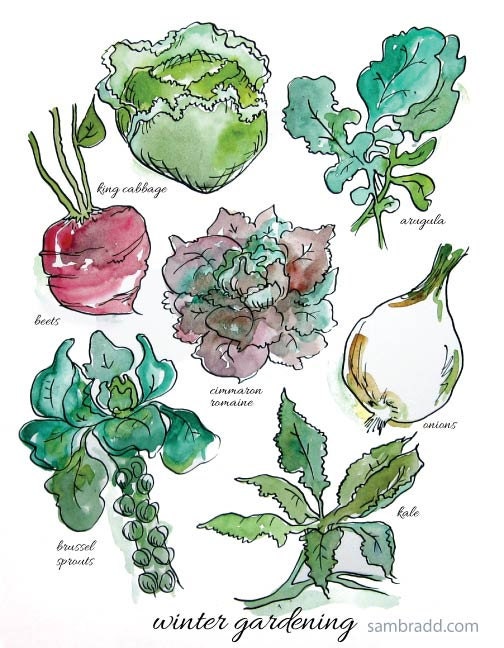 Winter Gardening Giclee print limited edition