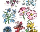 Bee favorite flowers - illustrated giclee print