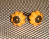 Shabby Chic Pumpkin Orange Drawer Pull Knobs Set of 2