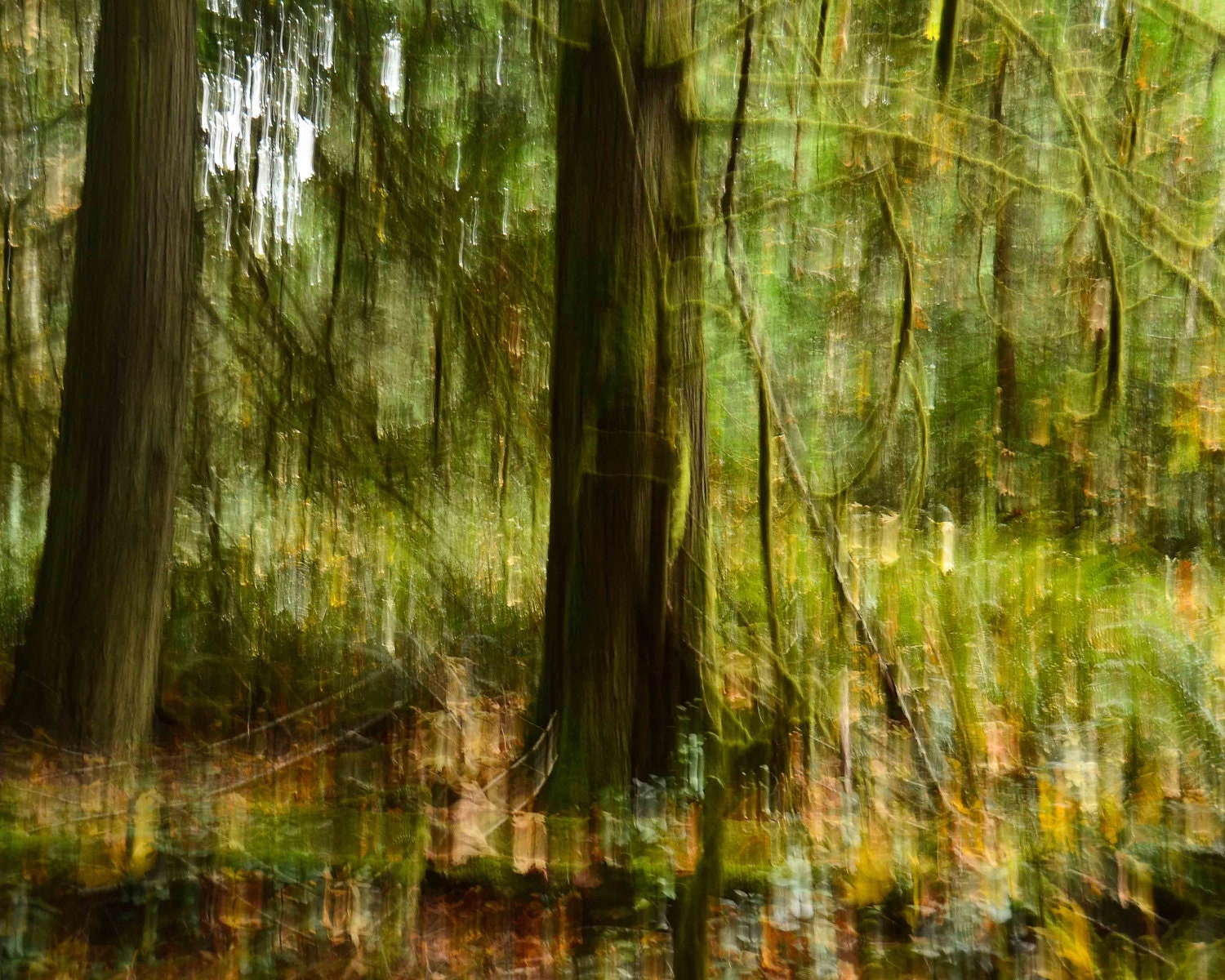Galiano 3 (Photography, Digital, Canada, Home Decor)