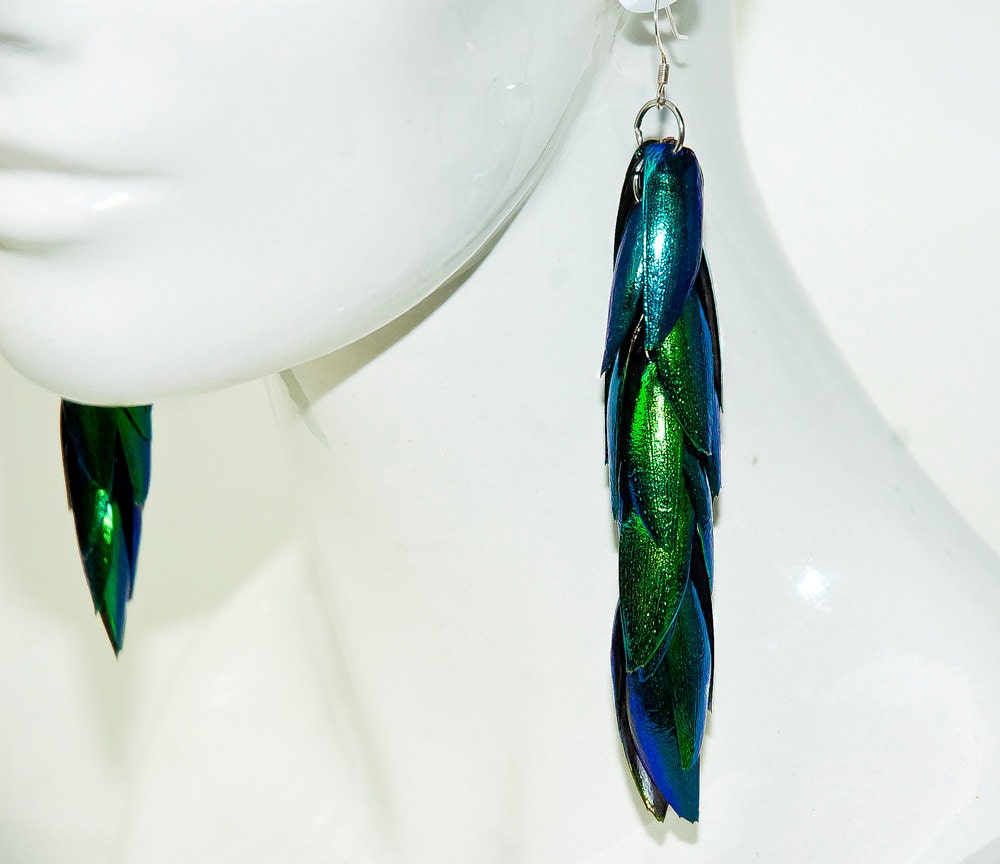 Long Beetle Wing Earrings