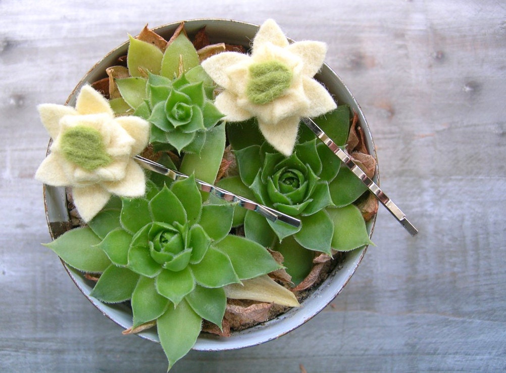 Felt Succulent Bridal Hair Accessory // Set of 2 Ivory // Garden Woodland Wedding // Handmade by OrdinaryMommy on Etsy