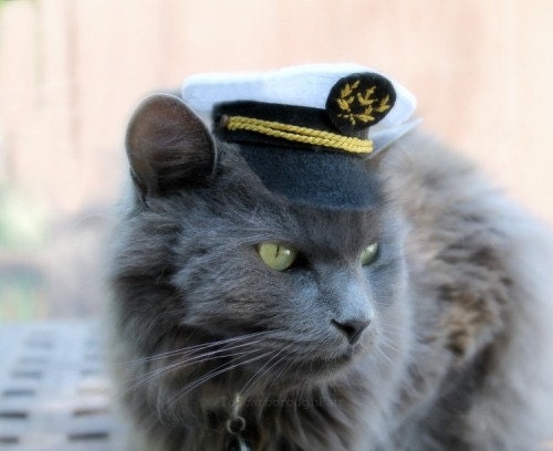 Marine Captain Mini Hat - Cat Captain Hat