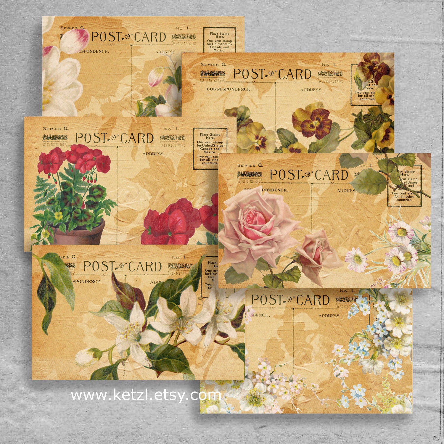 Instant Digital Download Printable Collage Sheet Set of 6 Mini Postcards with Shabby Flowers for your Chic Scrapbooking Projects jpeg pdf