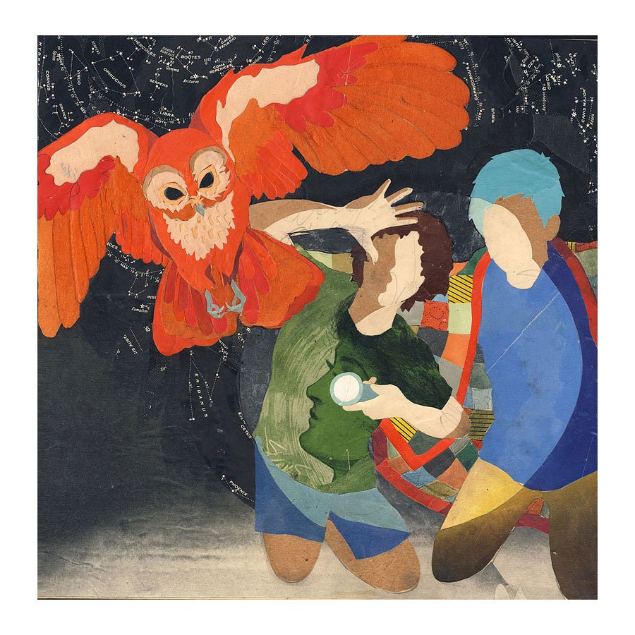 Noctua - Giclee Art Print