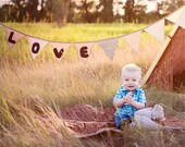 Woodgrain Baby QUILT  - Organic Cotton with Rustic Brown Faux Bois with Green Woodland Owl Applique