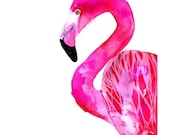 Flamingo, 50x70 cm (19,7x27,5 inch)