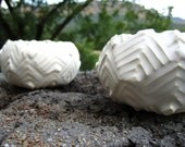 Cacti