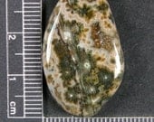 Ocean Jasper Cabochon Hand Cut JO224
