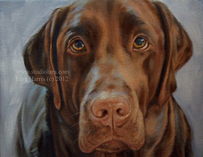 Custom Pet Portrait Painting in Oil LARA 24x36 Dog