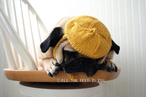 READY TO SHIP - Dog Hat - Mustard Petite French Beret