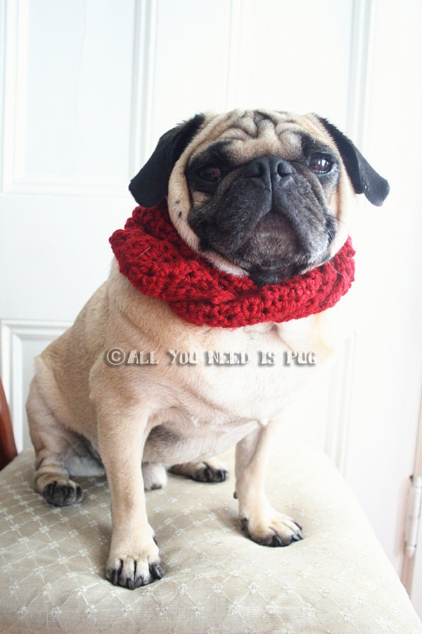 Custom Crochet Dog Scarf - For Toy and Small Dog Breeds
