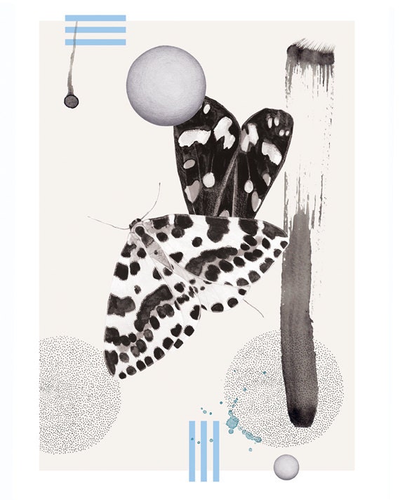 Moth Spots    A4 SIZE