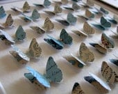 Shabby Lace, Robins Egg Blue Layered Special Limited Edition - 3D Butterfly Art - 8x8 - Ready to Ship