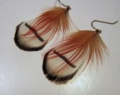Feather Earrings A Touch of Golden