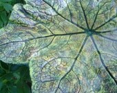 Concrete cast Chinese Mayapple leaf Bird bath/Feeders (set of 3- 15-19", No. 1200) live concrete cast leaves - garden treasures - RESERVED