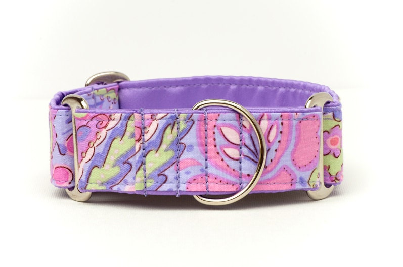 Martingale Collar - Madeline - Free Shipping