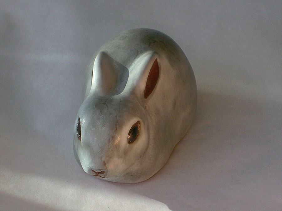 Rabbit with Ears Back