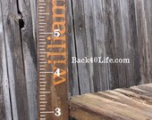 Premium wide ruler growth chart (The Williams) - engraved lettering with name flourish 60"
