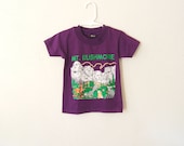 vintage childrens mt rushmore t-shirt