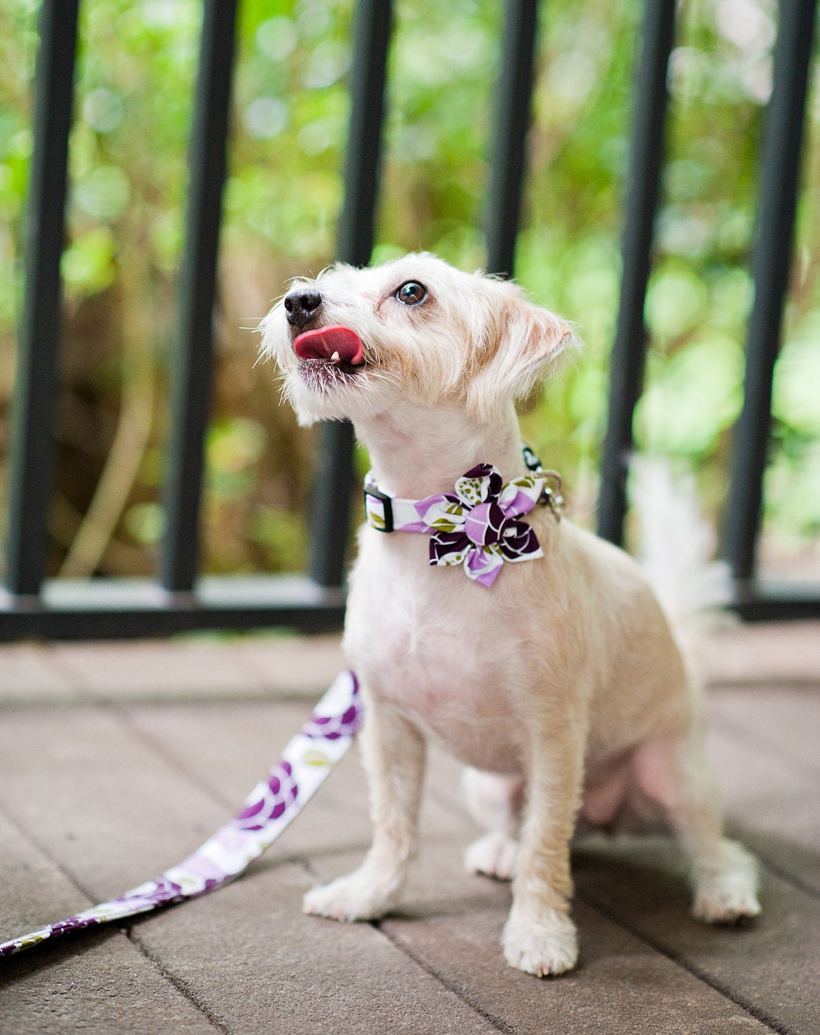 Floral Dog Collar and Flower Set - Bloom in Lilac - Made to Order in Your Choice of Size