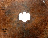 Vintage Japanese Stencil Family Crest Kamon Stencil D67 Flower Stencil