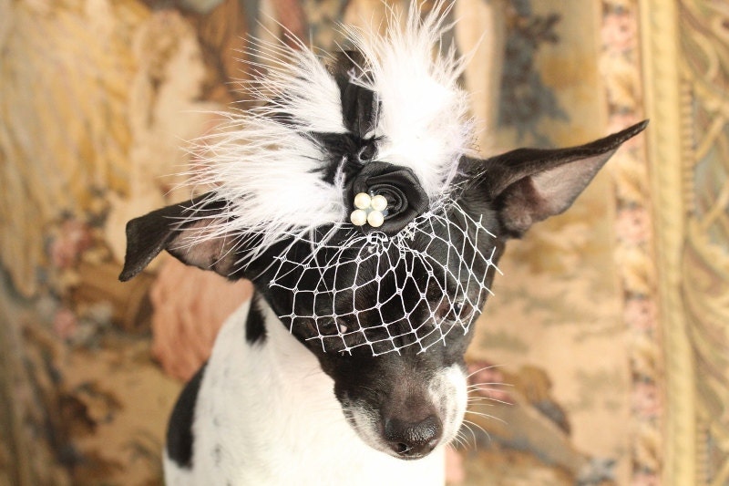 Cute black  color  mini  hat with black and white color   feather and   flowers for dog or cat