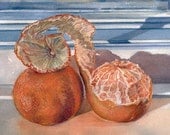 Orange Watercolor Reproduction-Two Tangerines On A Blue Windowsill- 7x10 Realistic Still Life