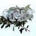 Vintage McKee Prescut Relish, 1916 Aztec Sunburst Pattern with Sawtooth Edge, Relish Dish with Glass Spoon  I TAKE CREDIT CARDS