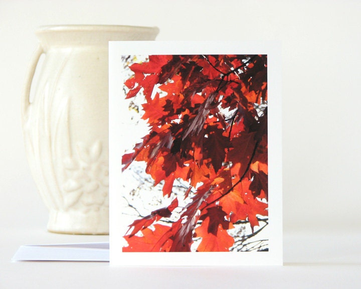 Autumn Photography Note Card Red Oak Fall Leaves blank stationery brown rustic tree branch fine art nature photo stationary notecard