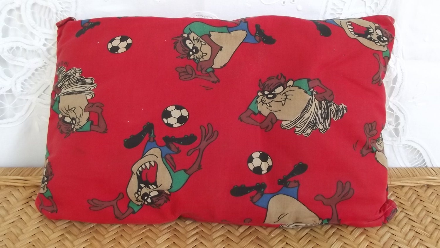 Red Warner Bros.Taz Cartoon Pillow///Sale