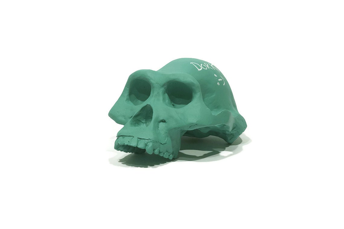 chalkboard skull