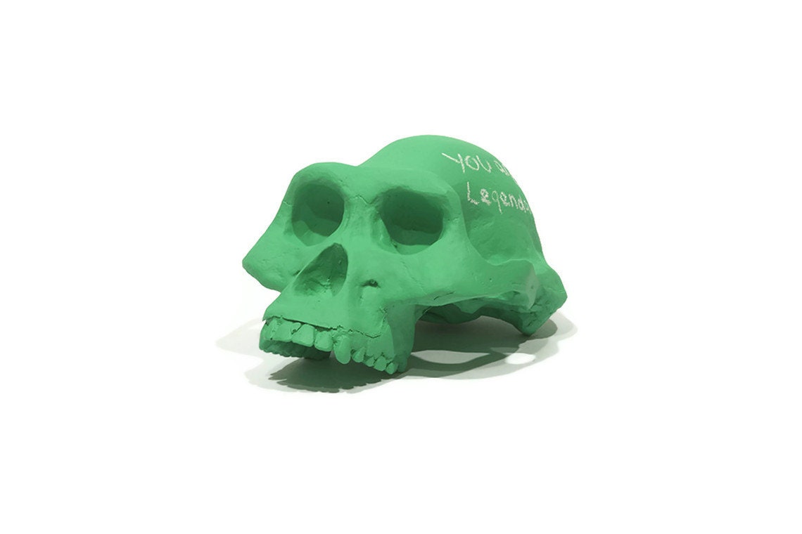 Lucy chalkboard skull