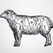 Letterpress Art Print L'agneau 8x10 - Lamb Meat Cuts Chart - Antique Sheep Diagram