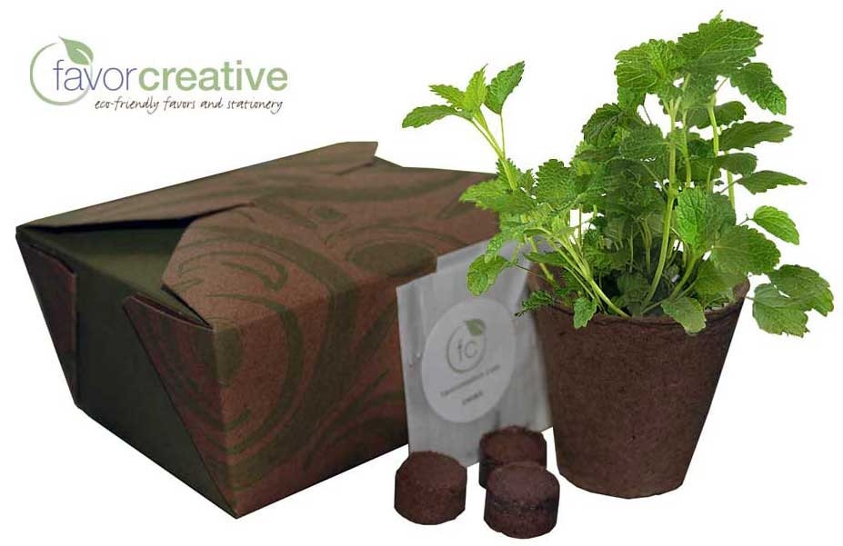 Herbs in a Box Gift Assortment - Set of 2