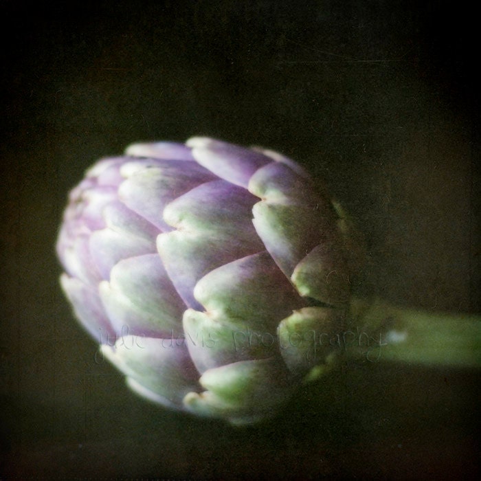 Artichoke Food Photography, Kitchen Art - 10x10 inch