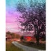 Sunset Star Farm...16x20 matted fine art landscape photograph / matted giclee print