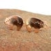 Bronze spirit bear cuff links