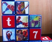 Spider-Man Building Blocks
