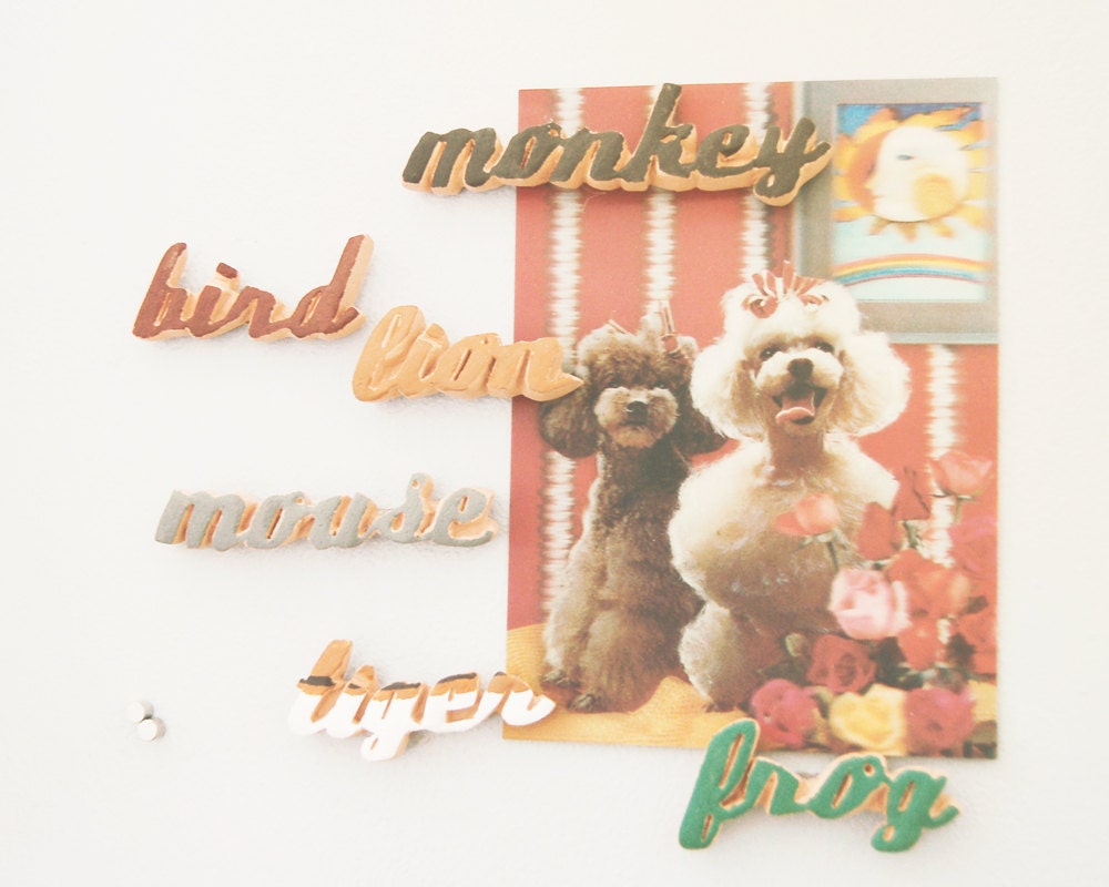 animal magnets