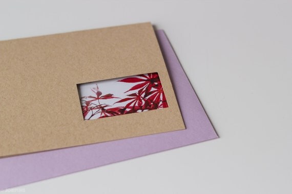 Japanese Maple photo card - blank